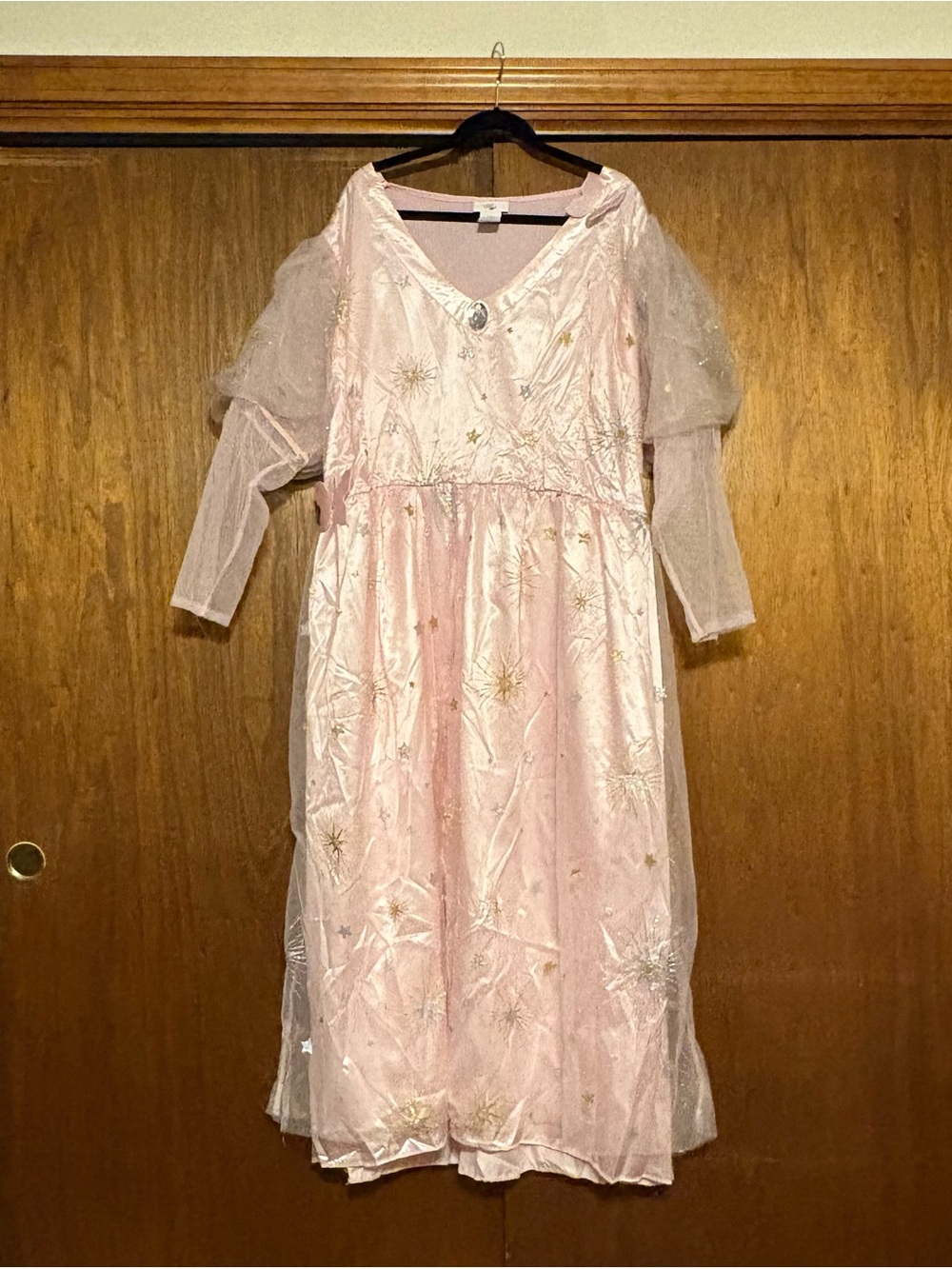 Plus Size Galinda (from Wicked) Costume